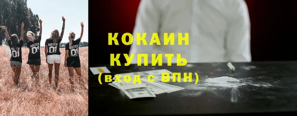 mdpv Краснослободск