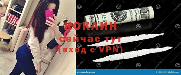mdpv Краснослободск