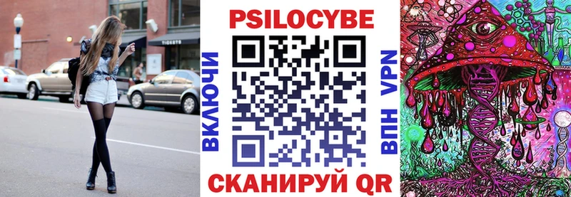 Псилоцибиновые грибы Psilocybe Купить Нефтегорск